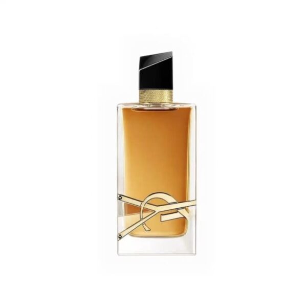 Z6832 YSL 50$