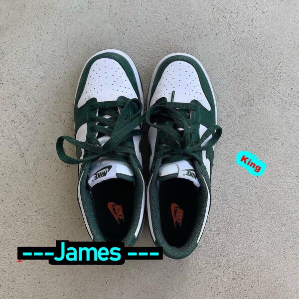 Jam4080 NIKE AAAAA Nike Dunk Low 300 PTX - Image 13