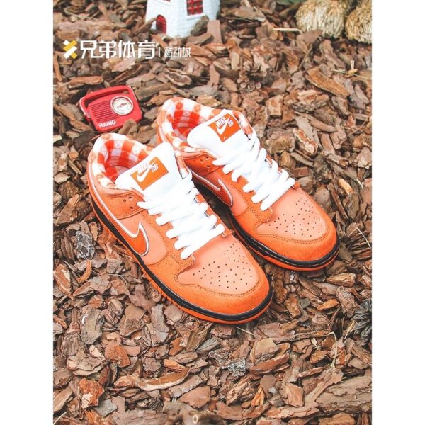 Jam1653 Concepts x Nike SB 47.9$ PTX - Image 13