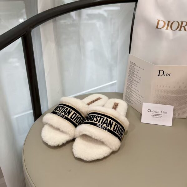 TL2548 DIOR 47.99$ BOX