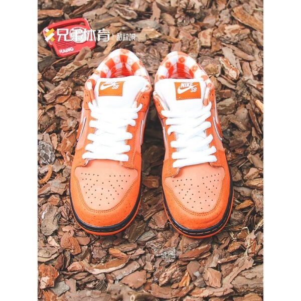 Jam1653 Concepts x Nike SB 47.9$ PTX - Image 15