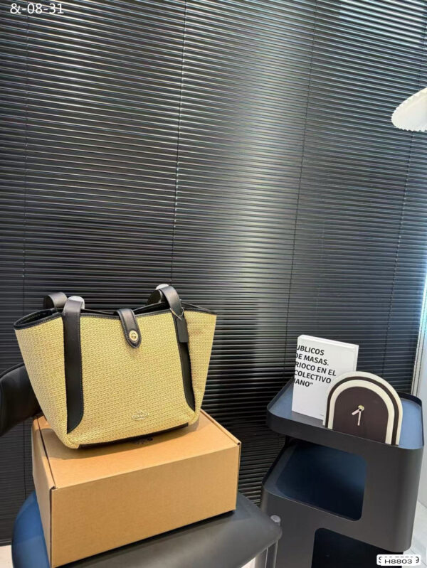 TL2527 COACH 65$ BOX - Image 11