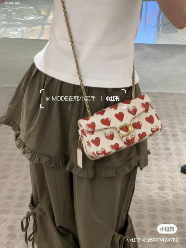 TL2526 COACH 69$ BOX - Image 3