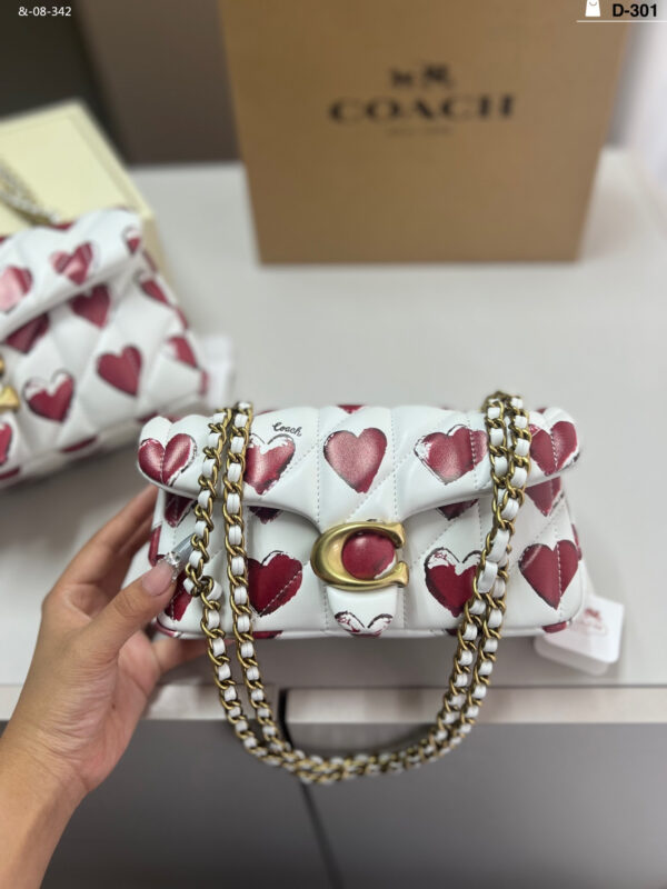 TL2526 COACH 69$ BOX - Image 11