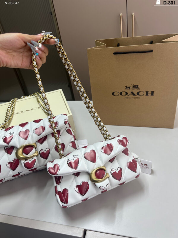 TL2526 COACH 69$ BOX - Image 12