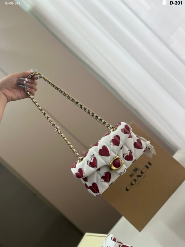 TL2526 COACH 69$ BOX - Image 13