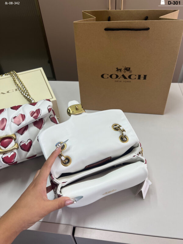 TL2526 COACH 69$ BOX - Image 4