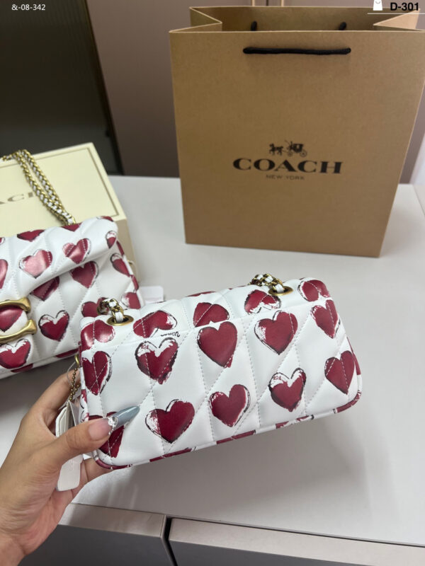 TL2526 COACH 69$ BOX - Image 10