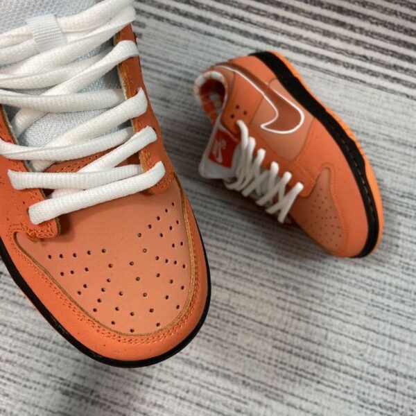 Jam1653 Concepts x Nike SB 47.9$ PTX - Image 17