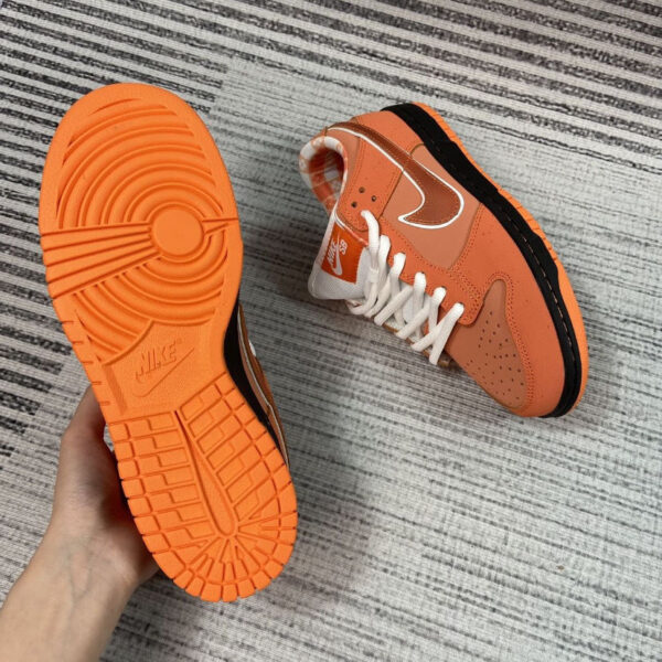 Jam1653 Concepts x Nike SB 47.9$ PTX - Image 19