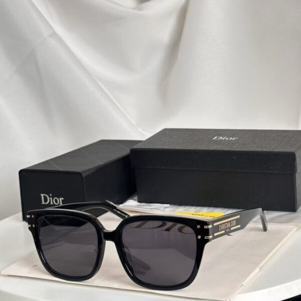 TL2486 DIOR 55$
