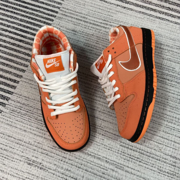 Jam1653 Concepts x Nike SB 47.9$ PTX - Image 20