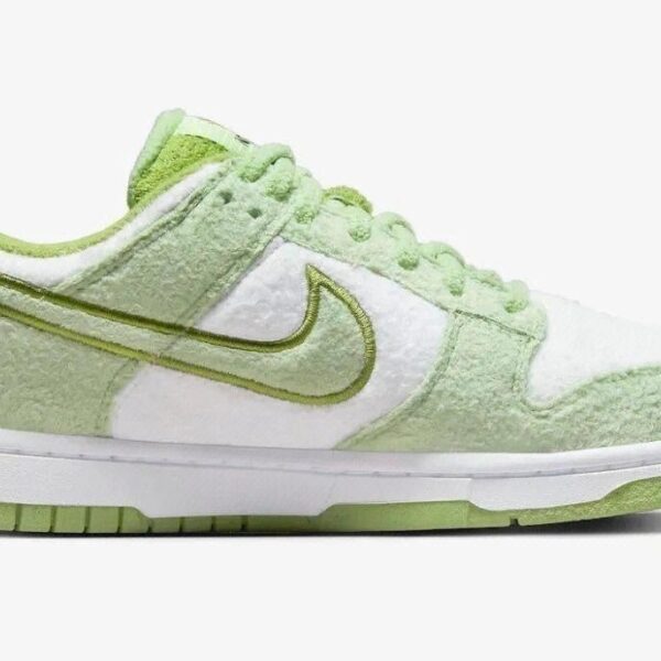 Jam4976 dunksb SB NIKE 300 60$ PTX - Image 11