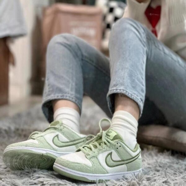 Jam4976 dunksb SB NIKE 300 60$ PTX
