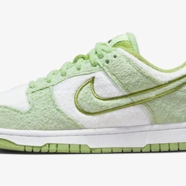Jam4976 dunksb SB NIKE 300 60$ PTX - Image 10