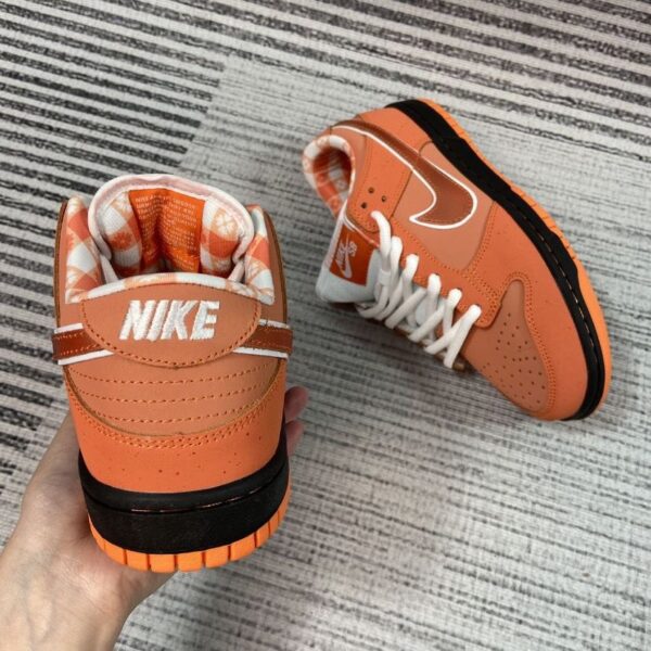 Jam1653 Concepts x Nike SB 47.9$ PTX - Image 21