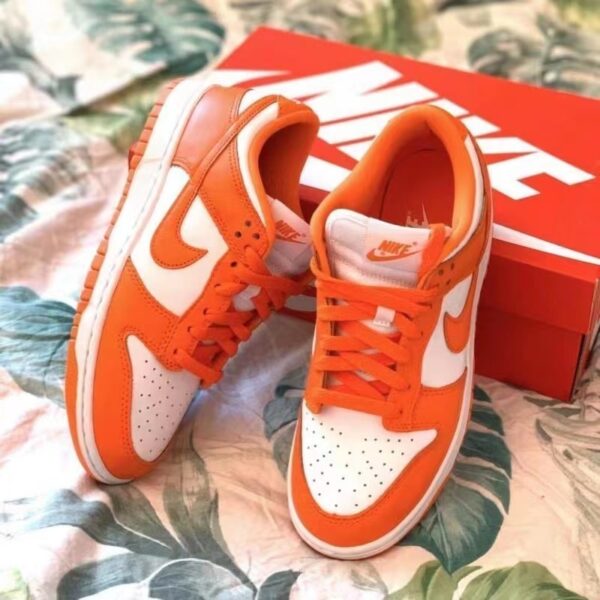 Jes3423 36$ NIKE SB