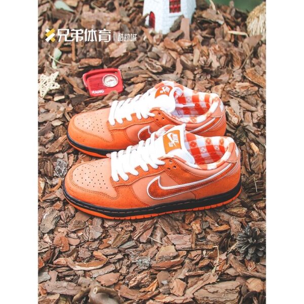 Jam1653 Concepts x Nike SB 47.9$ PTX - Image 5