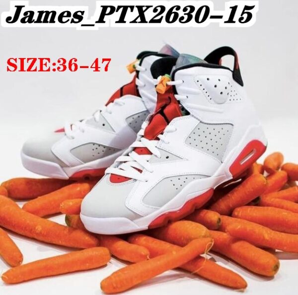 Jam2518 NIKE Air Jordan 6 Retro 390 53$ PTX - Image 5