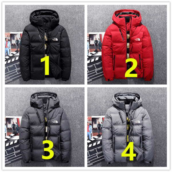 Z4645-59.99$-TNF Men DownJackets, sizes M-XXXL - Image 2