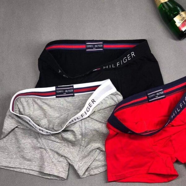 Jam4146   TOMMY 34.99$ 3 packs - Image 6