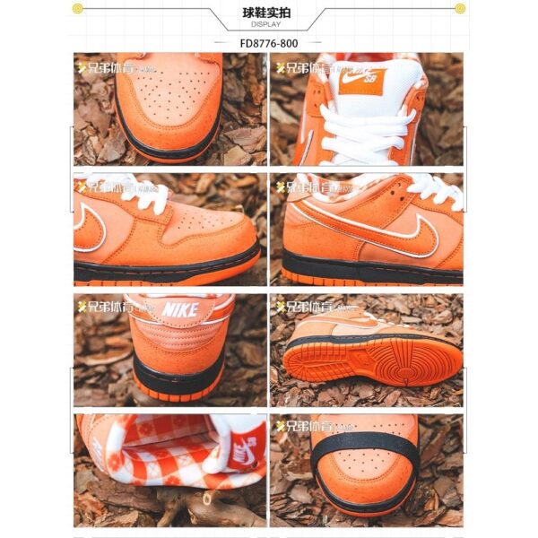 Jam1653 Concepts x Nike SB 47.9$ PTX - Image 6