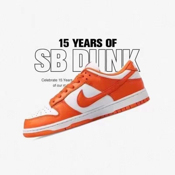 Jes3423 36$ NIKE SB - Image 7