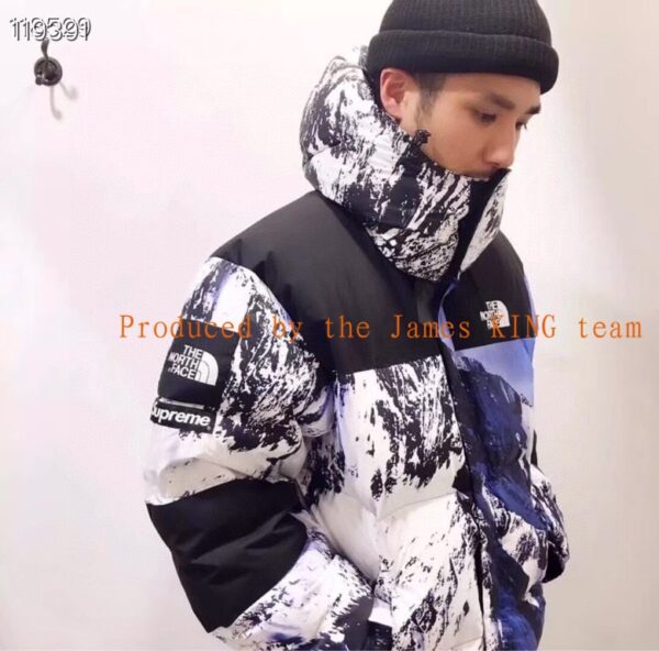 Jam2464  The North Face $53.99  1688YF - Image 8
