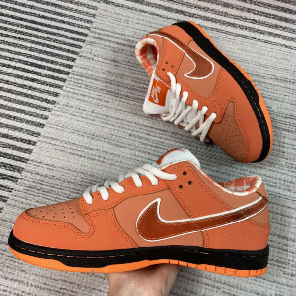 Jam1653 Concepts x Nike SB 47.9$ PTX - Image 9