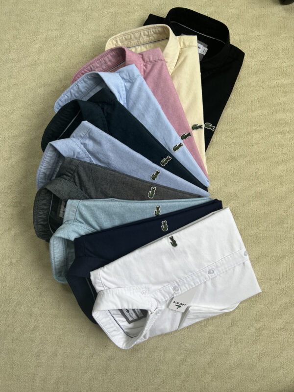 B1894-176￥l - Image 6