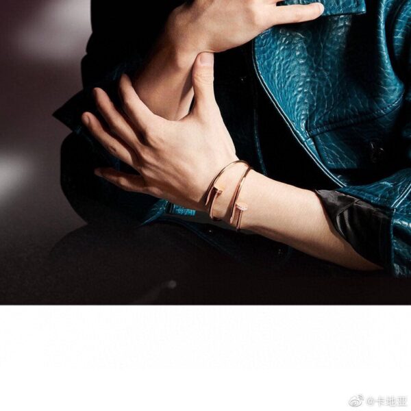 Cartier 47.33$ code 447-6647-R - Image 11