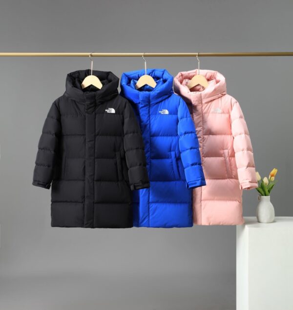 TNF 67.48$ CODE 420-7276-R - Image 4