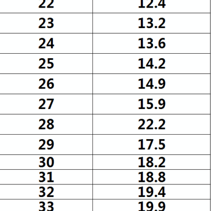 Jes3081 34.3$ KID NIKE