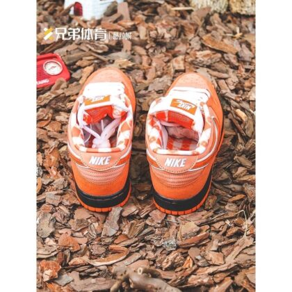 Jam1653 Concepts x Nike SB 47.9$ PTX