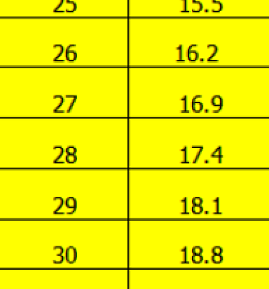 Jam1246 NIKE KIDS+adult 57.9$