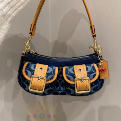 Jam9659 Coach 95$